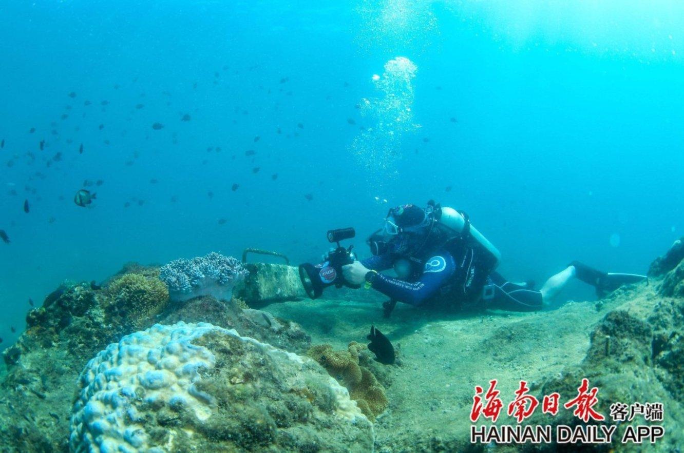 海军蓝